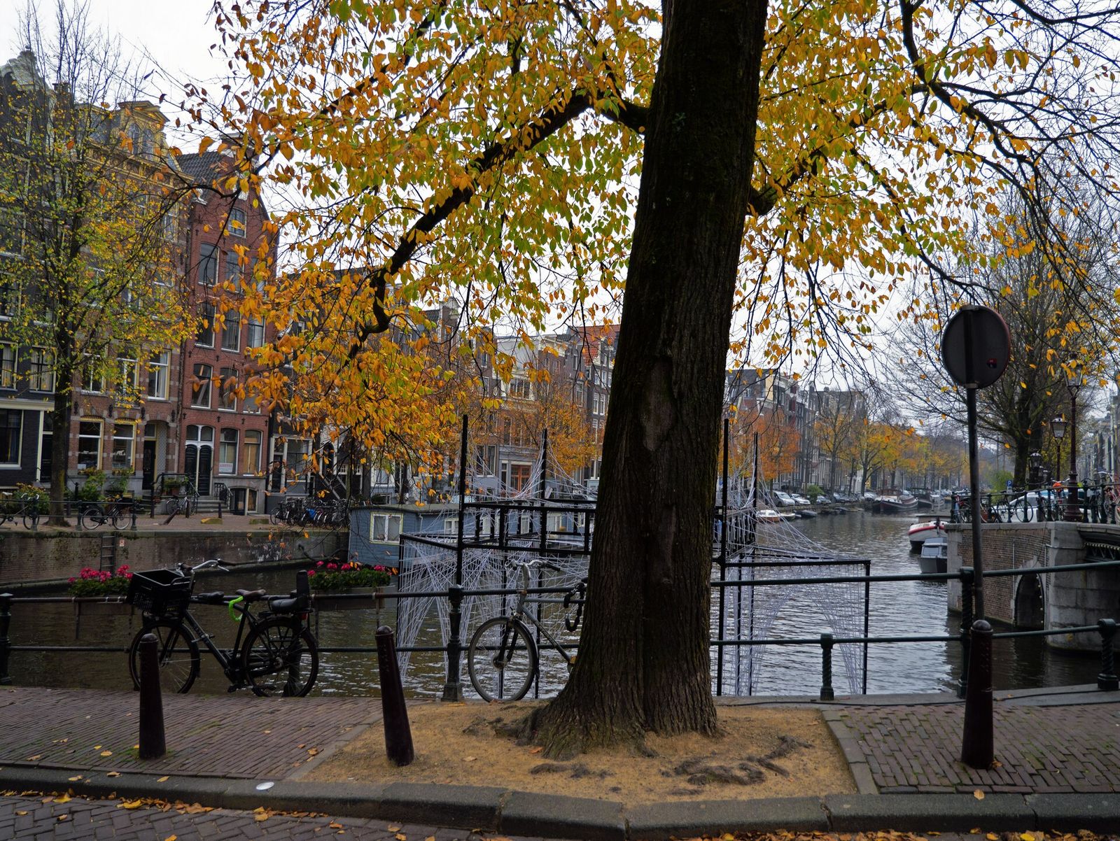 De Herengracht met een boom in herfstkleuren